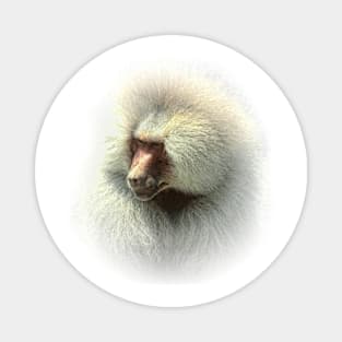 Baboon portrait Magnet